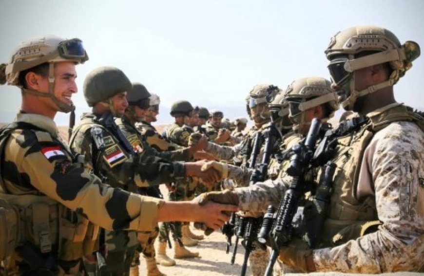 الإعلام العبري يحذر من قوة مصرية سعودية اردنية يمنية جديدة في منطقة البحر الأحمر قد تغير موازين القوى