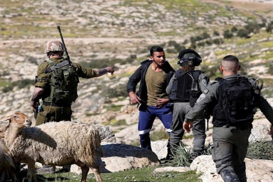 الاحتلال يعتقل شابا خلال محاولته منع مستوطنين سرقة اغنام والده