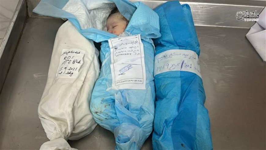 وفاة 13 طفلاً بينهم 10 أجنة بمجمع ناصر الطبي في خان يونس