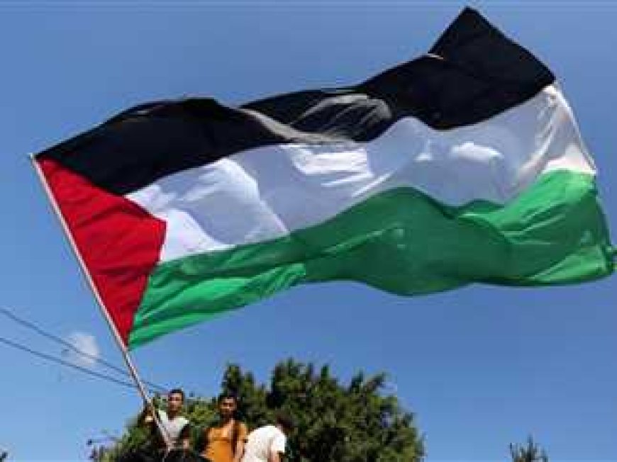 فرنسا و10 دول أخرى تستعد للاعتراف بدولة فلسطين في الأمم المتحدة الاثنين.. وأمريكا تصفها بالخطوة “الاستعراضية”