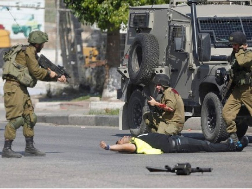 الجيش الإسرائيلي يُعدم فلسطينيًا بالرصاص قرب مدينة جنين.. وحصيلة شهداء الضفة منذ بدء حرب غزة ترتفع لـ 1044شهيدًا