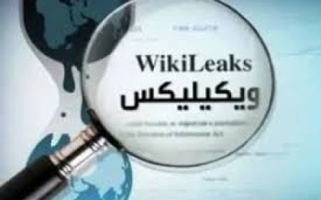 ويكيليكس يكشف: 7000 دولار لكل منشور مؤيد لإسرائيل لمؤثرين أميركيين