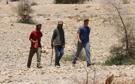 مستعمرون يحرقون مركبة ويحطمون أشجارا بمسافر يطا جنوب الخليل