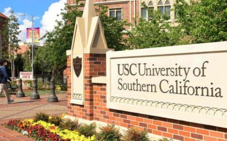 صحيفة عبرية: جامعة جنوب كاليفورنيا نقلت 32 جثة لتدريب جيش إسرائيل