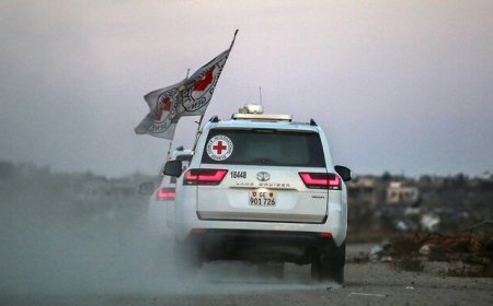 البيت الأبيض: الإفراج السريع عن المحتجزين سيدفع مسار السلام في غزة