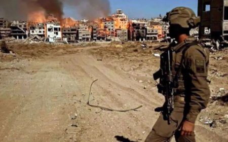 هآرتس: عامان على حرب غزة دون هدف وإسرائيل غارقة بالعزلة وتحتضر