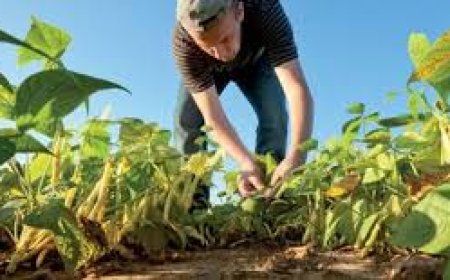 وزير الزراعة يكشف خطط دعم المزارعين في ظل موازنة أقل من 1%