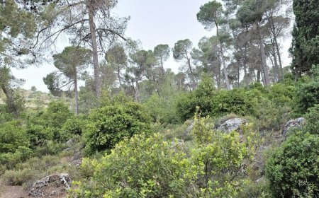 حالة الطقس: درجات الحرارة أدنى من معدلها السنوي بقليل