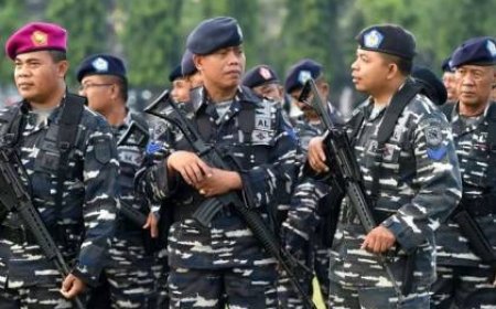 إندونيسيا وأذربيجان وباكستان قد ترسل قوات إلى غزة