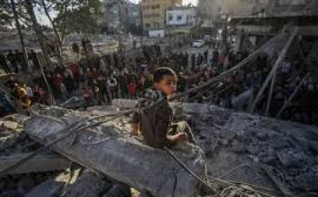 مجزرة بحي الزيتون واستمرار خروقات الاحتلال في الأسبوع الثاني لوقف اطلاق النار