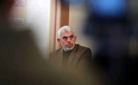 وزيرة إسرائيلية تقترح على الكابينت إحراق جثة السنوار