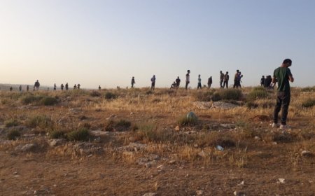 المستوطنون يهاجمون مساكن المواطنين في سوسيا جنوب الخليل