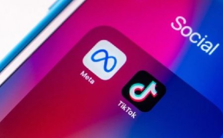 الاتحاد الأوروبي يتّهم ميتا وتيك توك بانتهاك قانون الخدمات الرقمية
