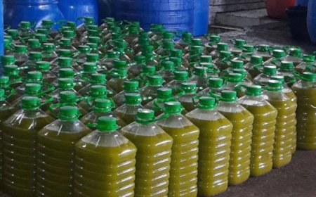 ضبط زيت زيتون مغشوشاً في محافظتي الخليل ونابلس