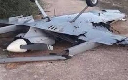 فرنسا أمرت بإسقاط طائرة إسرائيلية مسيرة في لبنان