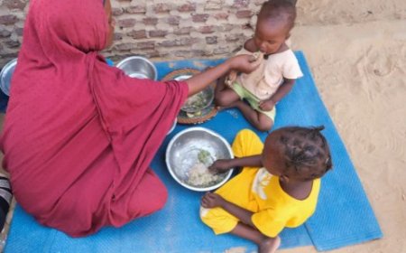 صحيفة ايطالية: الفاشر غزة أخرى تتجاهلها وسائل الإعلام