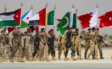 جدل حول الفصل السابع: قوة عربية مسلحة في غزة دون جنود غربيين