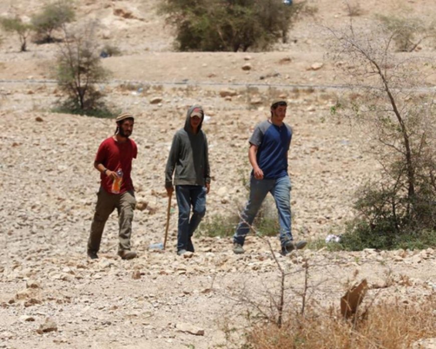 مستعمرون يحرقون مركبة ويحطمون أشجارا بمسافر يطا جنوب الخليل