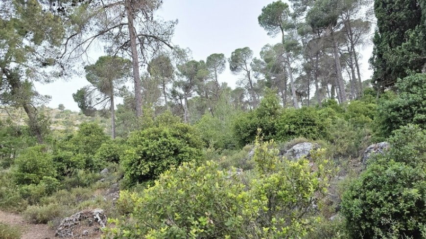 حالة الطقس: درجات الحرارة أدنى من معدلها السنوي بقليل