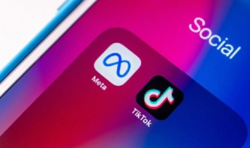 الاتحاد الأوروبي يتّهم ميتا وتيك توك بانتهاك قانون الخدمات الرقمية