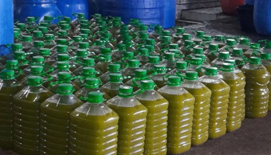 ضبط زيت زيتون مغشوشاً في محافظتي الخليل ونابلس