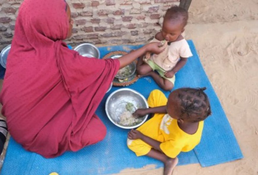 صحيفة ايطالية: الفاشر غزة أخرى تتجاهلها وسائل الإعلام