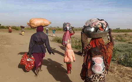 وزيرة سودانية: قوات الدعم السريع قتلت 300 امرأة بالفاشر في يومين