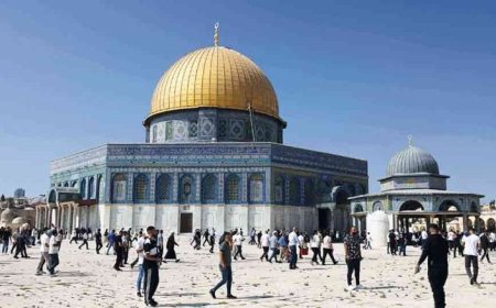 أكبر أعداد للمقتحمين وحفريات وأنفاق الأقصى في قلب سياسات التهويد