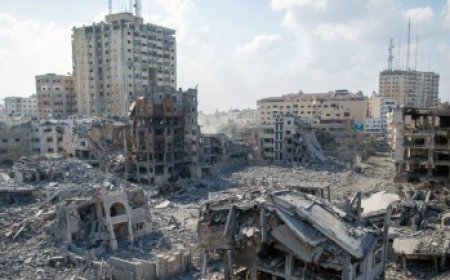 انهيار معظم الأنشطة الاقتصادية بغزة نتيجة الإبادة الإسرائيلية