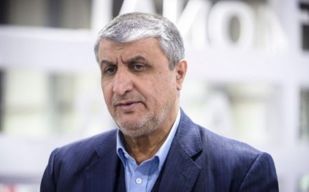 إيران: إنشاء 8 محطات نووية جديدة على السواحل الجنوبية والشمالية للبلاد بالتعاون مع روسيا بات على جدول الأعمال