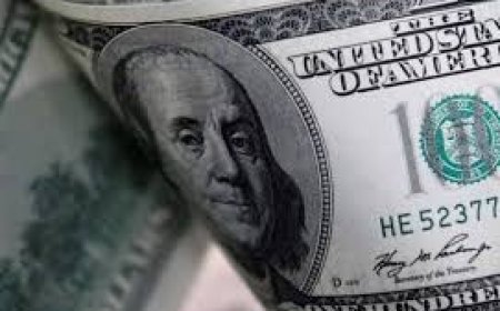 الدولار يواصل صعوده مستقراً قرب أعلى مستوى في ثلاثة أشهر