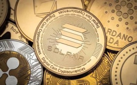 هبوط حاد يضرب سولانا مع موجة تصحيح في سوق العملات المشفّرة