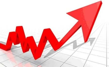 ارتفاع الرقم القياسي لكميات الإنتاج الصناعي في فلسطين