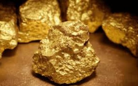 الذهب يرتفع مدعوماً بتراجع الدولار وتزايد رهانات خفض الفائدة الأميركية