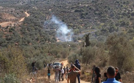 رام الله.. مستوطنون يضرمون النار في منزل بقرية أبو فلاح