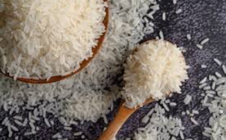 تسونامي الأرز الهندي يحطم الأسعار العالمية