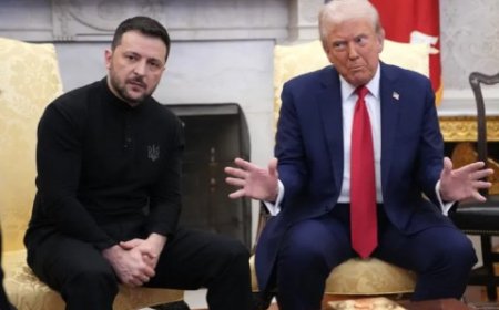 ألكسندر نازاروف: فضيحة الفساد بأوكرانيا: هل يطيح ترامب بزيلينسكي؟ أم يستعد لإرسال بايدن إلى السجن؟