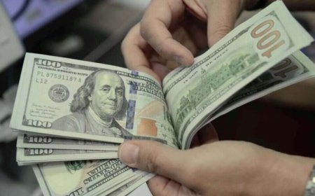 الكشف عن النتائج الأولية لمسح الاستثمار الأجنبي في فلسطين