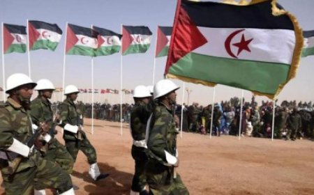 الجزائر تبدي استعدادها لدعم الوساطة بين المغرب و”البوليساريو” لإيجاد حلّ لنزاع الصحراء.. لكن بهذا الشرط