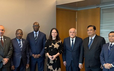 لجنة فلسطين في الأمم المتحدة تجتمع مع رئيسة الجمعية العامة