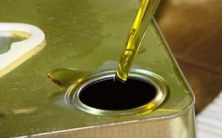 الزراعة تؤكد ارتفاع نسبة غش الزيت