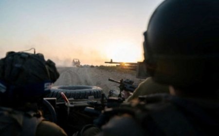 هآرتس الجيش الإسرائيلي وحش منفلت يُنظر إليه على أنه “بقرة مقدسة