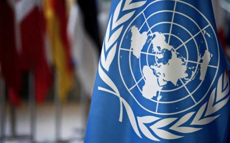 اول تعليق من الامم المتحدة حول إعدام الاحتلال لمواطنين في جنين