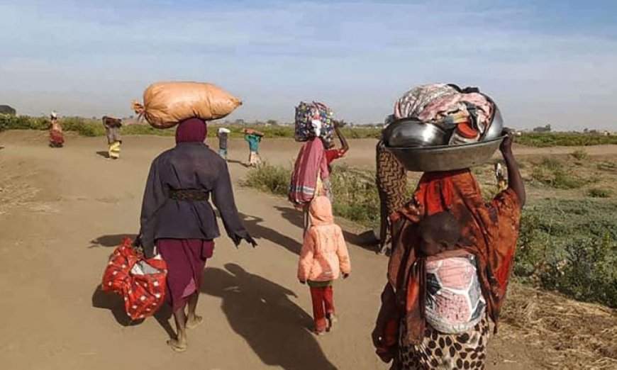 وزيرة سودانية: قوات الدعم السريع قتلت 300 امرأة بالفاشر في يومين