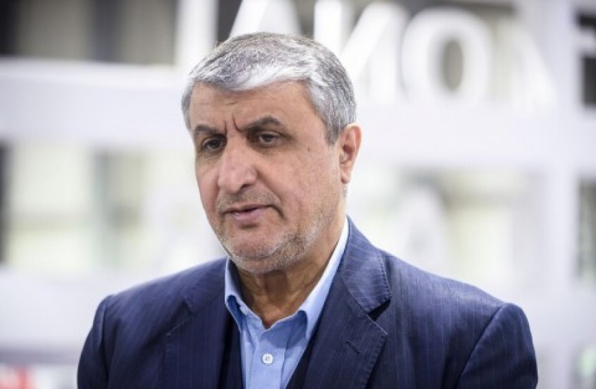 إيران: إنشاء 8 محطات نووية جديدة على السواحل الجنوبية والشمالية للبلاد بالتعاون مع روسيا بات على جدول الأعمال