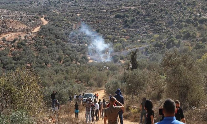 رام الله.. مستوطنون يضرمون النار في منزل بقرية أبو فلاح