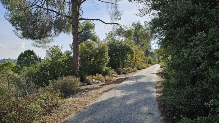 الطقس: غائم جزئي والحرارة أعلى من معدلها السنوي