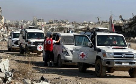 تركيا تضع شرطاً حل ملف محاصري رفح قبل تسليم جثمان الجندي غولدين