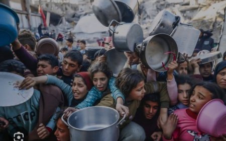 لمعرفة العرب والمُسلمين والعالم.. تفاصيلٌ صادمةٌ عن جرائم الاحتلال.. 12 منظمةٌ حقوقيّةٌ: عدوان غزّة الأكثر فتكًا وتدميرًا للفلسطينيين منذ الـ 67.. تهجير أكثر من مليون إنسانٍ داخل القطاع.. الأطفال كدروعٍ بشريّةٍ وإعداماتٍ وتجويعٍ