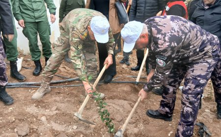 وزارة الزراعة: سليمية وثوابته يطلقان حملة "تخضير بلادي" لزراعة 500 ألف شجرة حرجية خلال العام القادم، بالتزامن من 52 موقعاً في محافظات الوطن.
